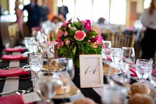 66633fef01cbee91e16ba72e NJCU Gala 2019 7 min p 500