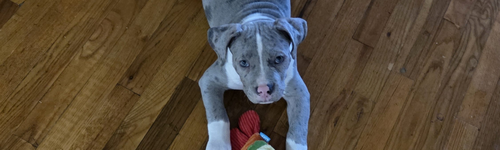 User banner image