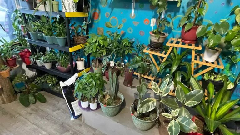 Catrinas Flowers and Events 2 768x432